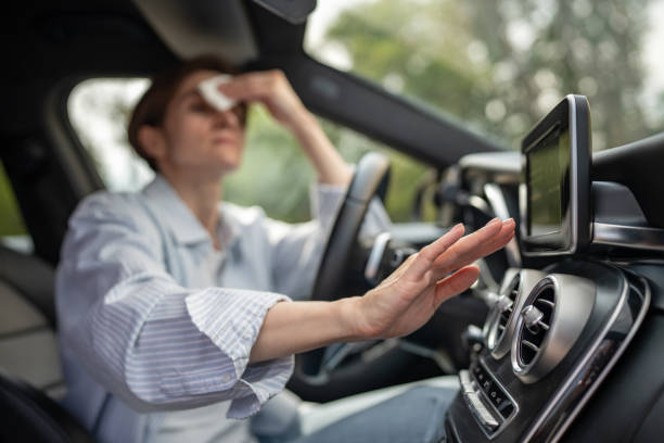 Best Thermostats and Smart Controls in Dunnigan, CA